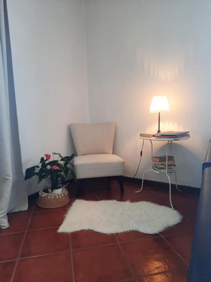 Casa Das Camelias Авиеро Екстериор снимка